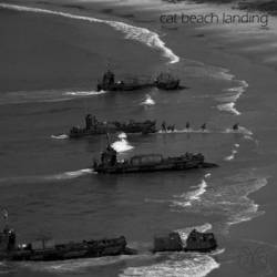 Spider Kitten : Cat Beach Landing